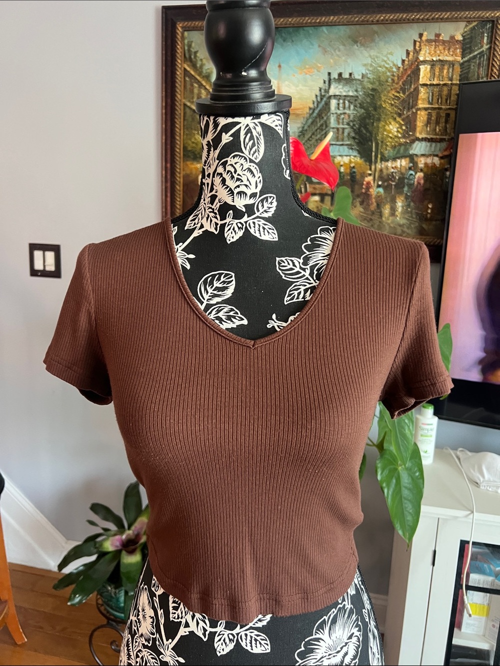 Brown Ribbed V-Neck Crop Top